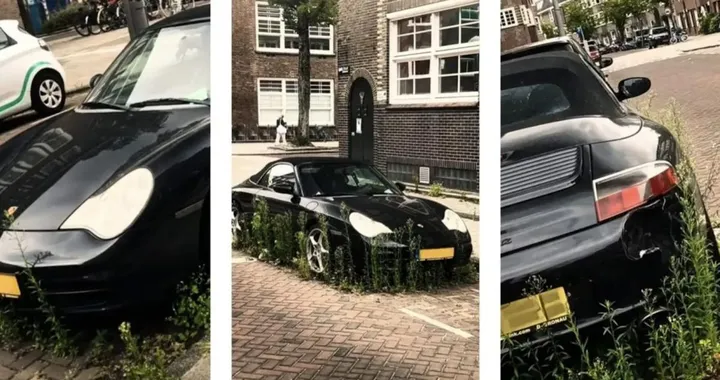 La natura si prende gioco di una Porsche: scempio in un parcheggio