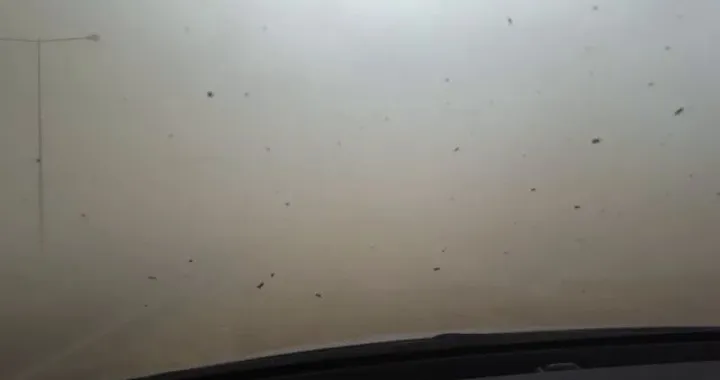 SBK 2018 - Maltempo a Losail