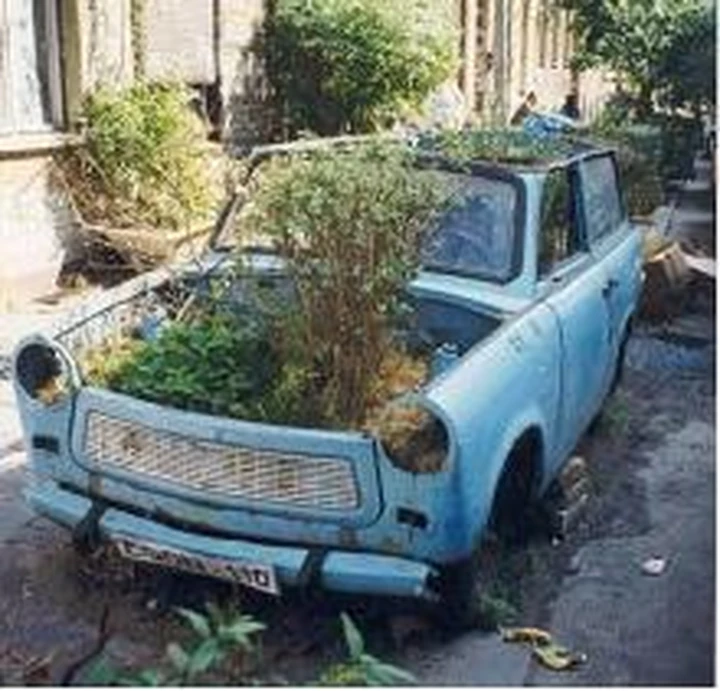 Le auto più ecologiche
