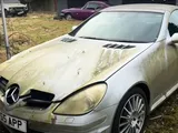 In una macabra villa abbandonata giacciono dei tesori, da Lotus a Mercedes