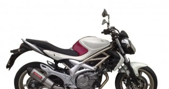 Scarico GPR Grand Prix Evolution (GPE) per Suzuki Gladius 650