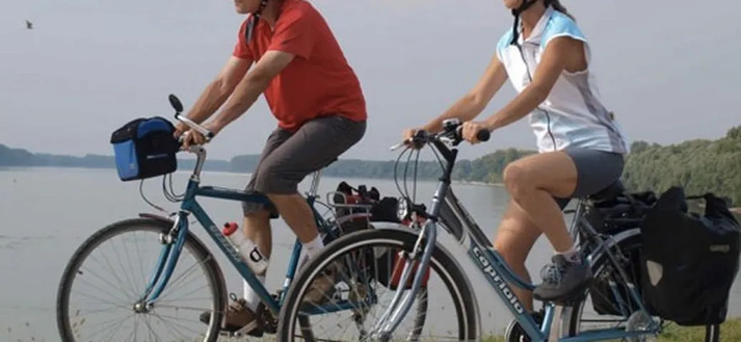Sicurezza stradale: otto volte più pericoloso andare in bici che in macchina.