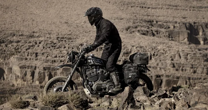 El Solitario Harley-Davidson Roadster 1200 Desert Wolves