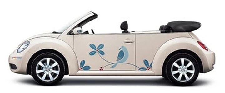 New Beetle Art
