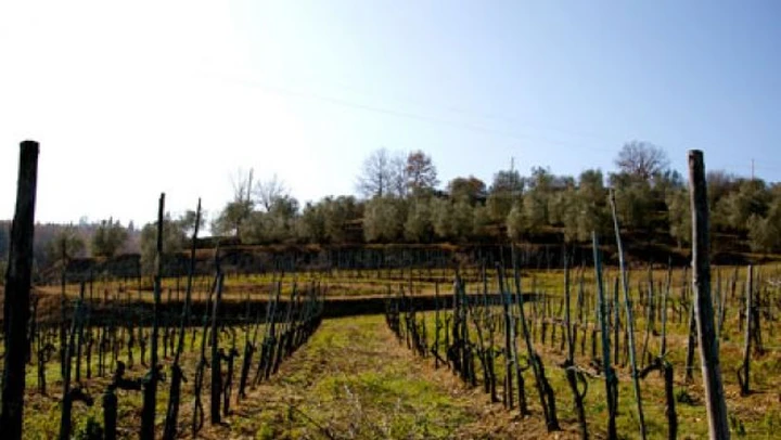 Toscana: sulle strade del Chianti