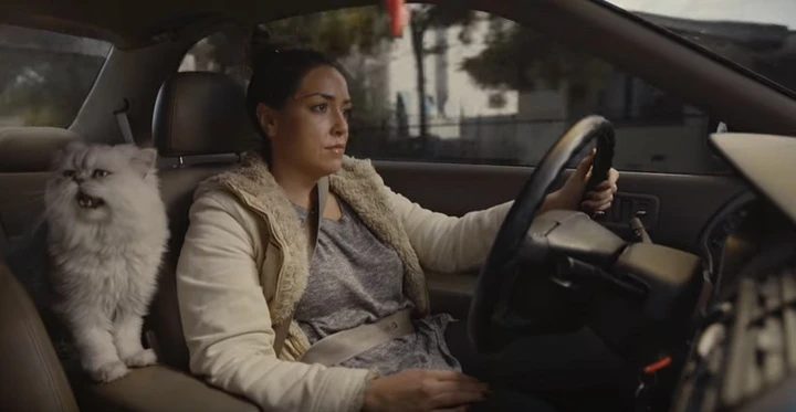 Honda Accord del 1996 in vendita: il video-annuncio è geniale [Video]