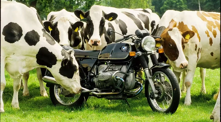 BMW moto: la curiosa origine del nome “mucca di gomma”
