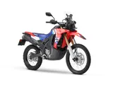 Honda CRF300L Rally 2025: meno limiti più avventura, ecco tutte le novità