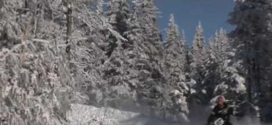 Arriva l'inverno e la neve? Che problema c'è: guardate il video!