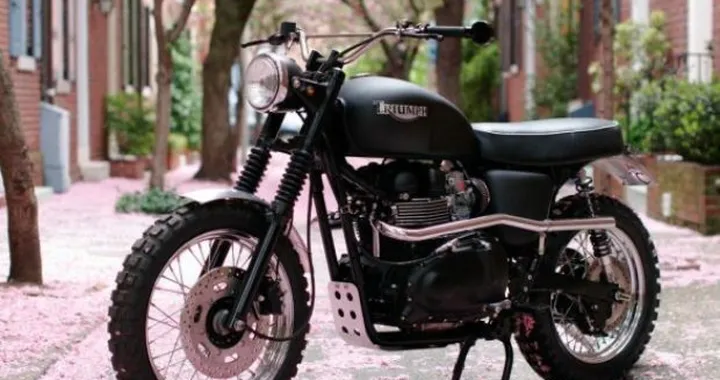 Hammarhead Industries: special minimalista
