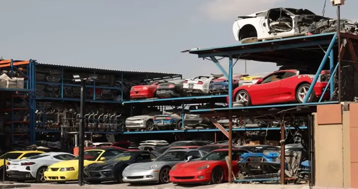 Il cimitero delle supercar tra Ferrari, Lamborghini e Porsche: un mistero