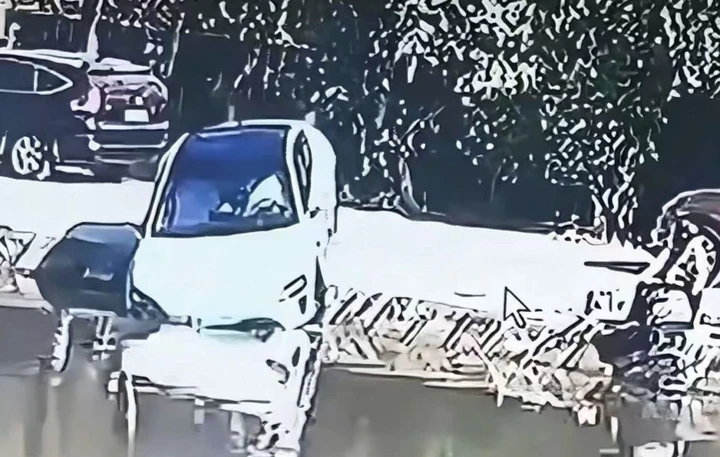 La guida autonoma fallisce, il parcheggio automatico finisce nel lago