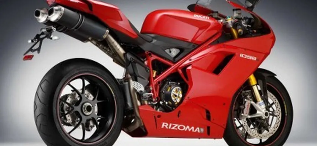 Idee Regalo: Rizoma per 1098