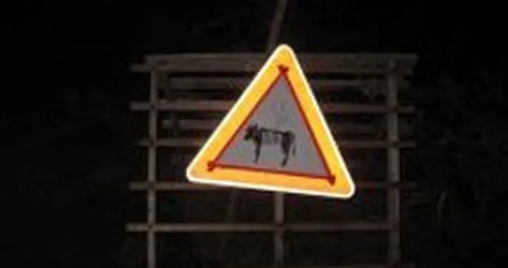Foto del giorno: grigliata in corso!