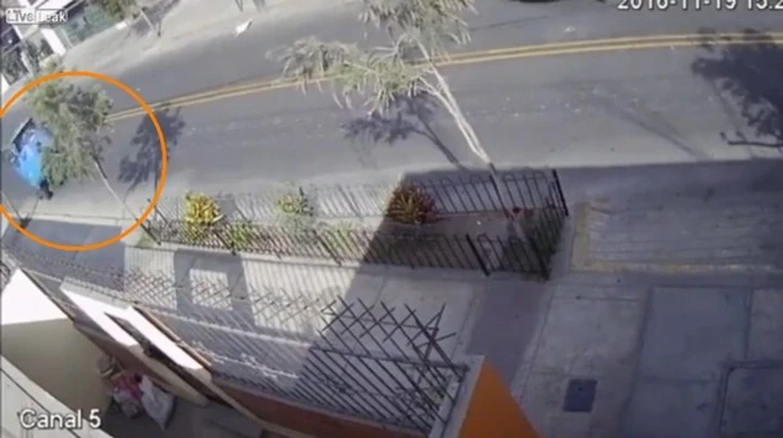 Impenna con l'Ape e finisce contro un albero [Video]