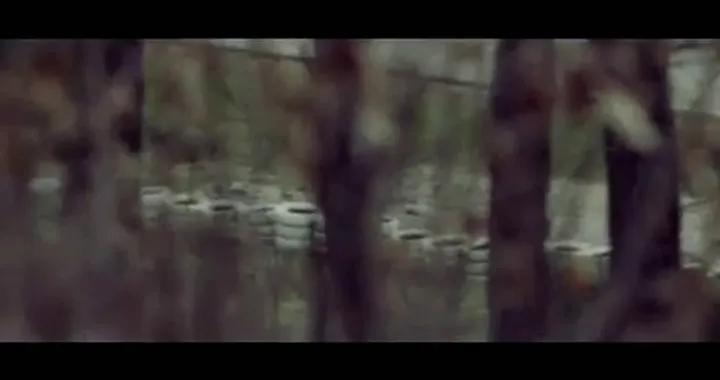 Ducati 1199 Panigale e il lupo