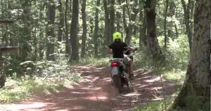 Vespa reverse su strada