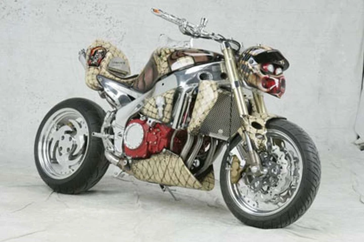 Il predatore