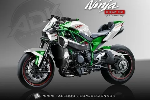 Kawasaki ninja 300 naked 2025