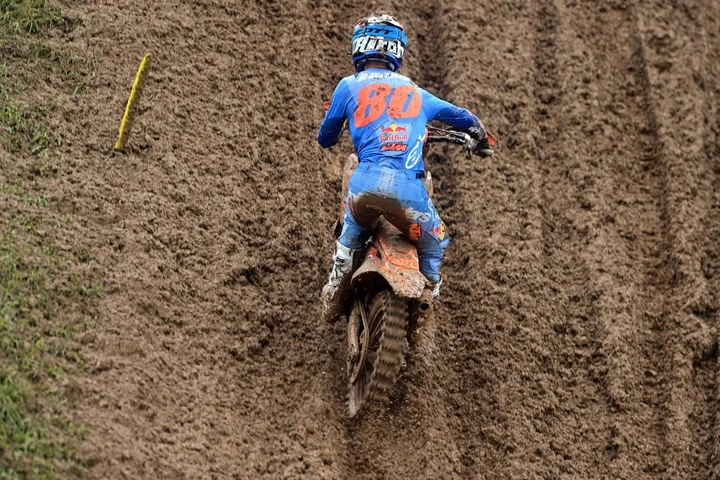 ingrandisci immagine