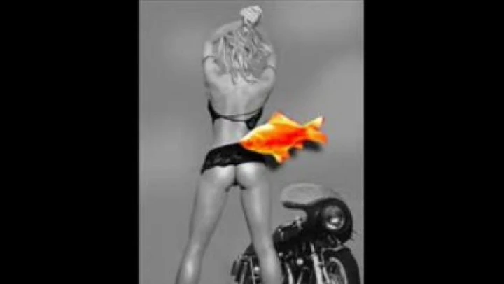 Sexy Bikers: le 