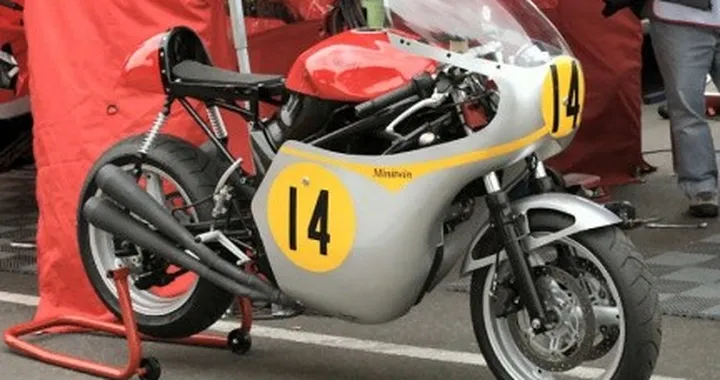 Suzuki SV "retrò" Hailwood Replica