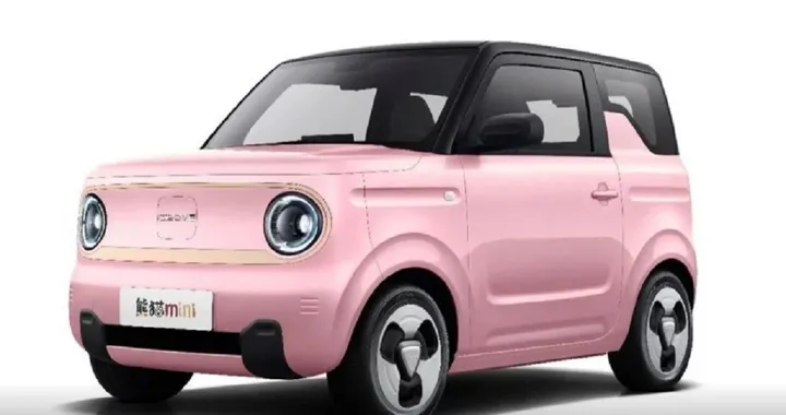 Geely Panda Mini EV: dovrà cambiare nome?