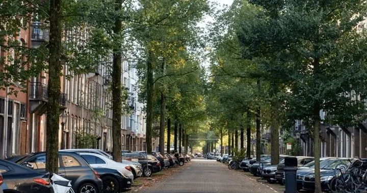 Bloccare la pubblicità di auto a benzina e diesel: questa città fa sul serio