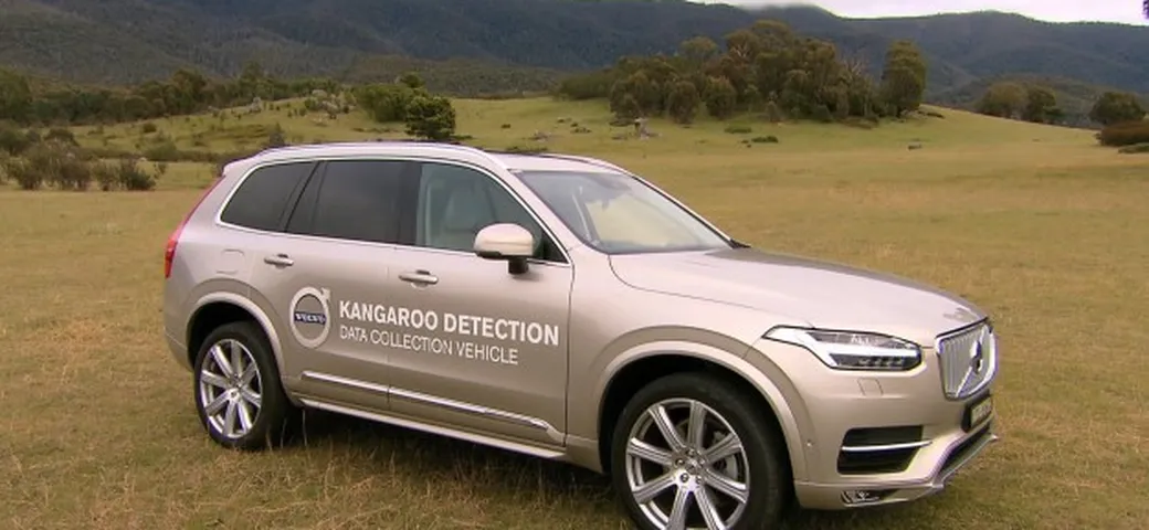 Volvo: presto il sistema di sicurezza contro i canguri