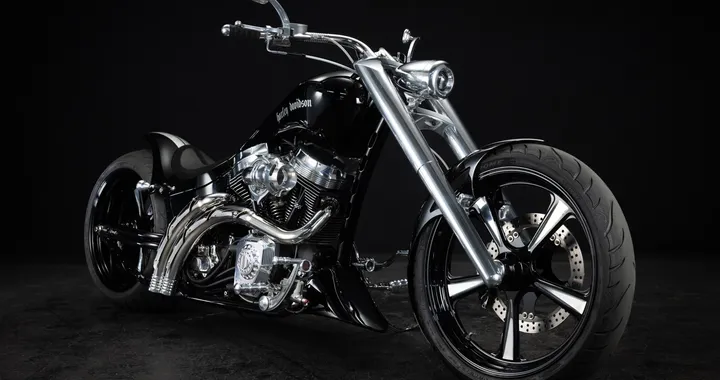 Harley-Davidson Softail "Sally" by Bad Land
