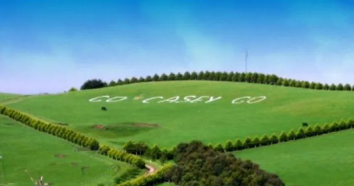 MotoGP: Gallery prove libere a Phillip Island