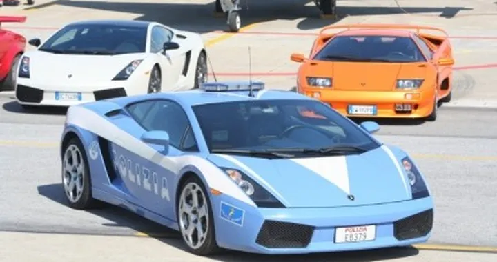 Lambo con le ali