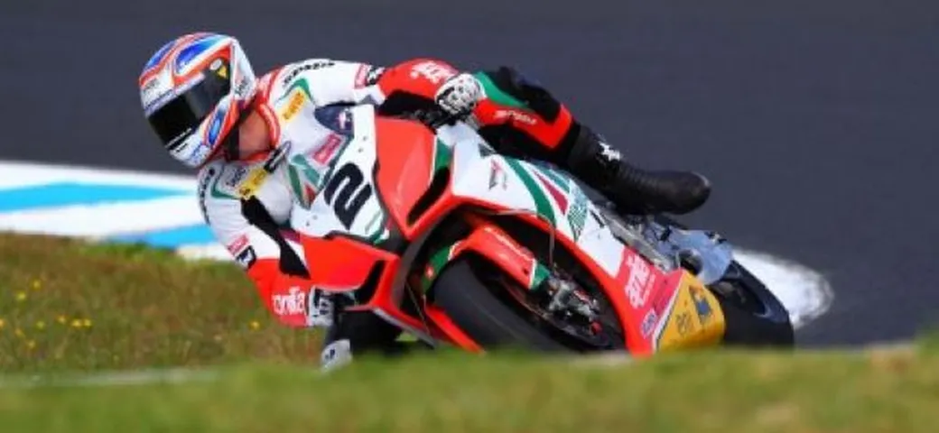 Camier: 