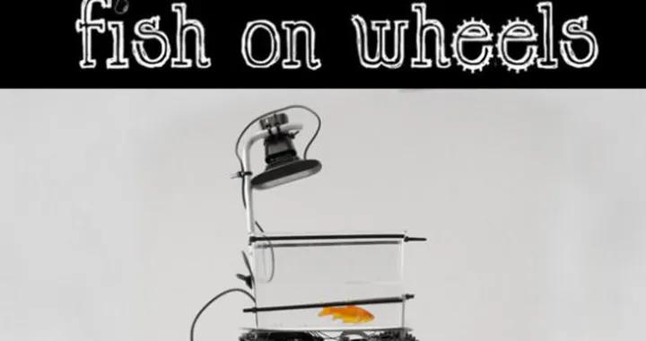 Fish on wheels: su Kickstarter l'automobilina per i pesci