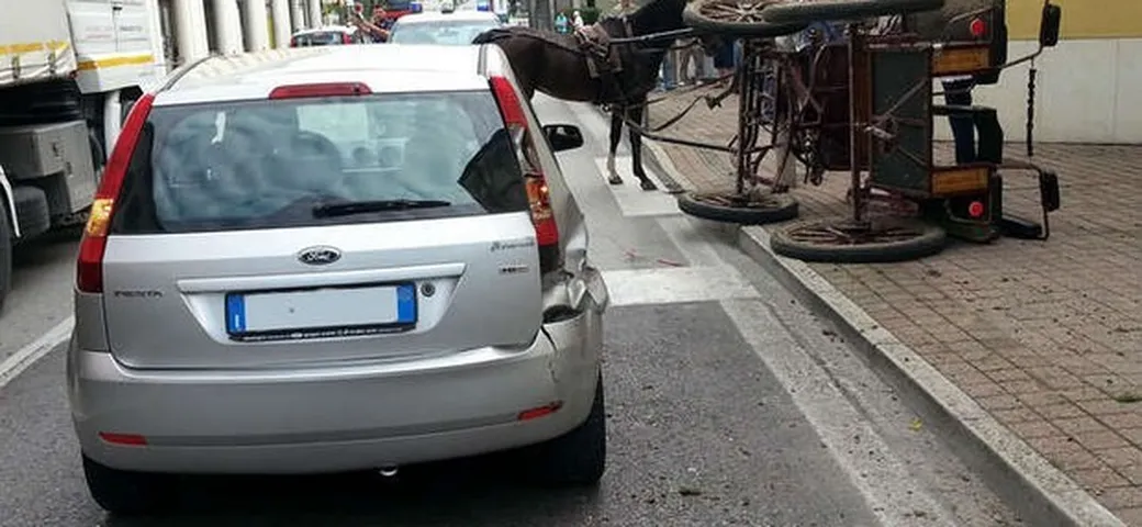 La Ford Fiesta nuova? Distrutta da un cavallo imbizzarrito
