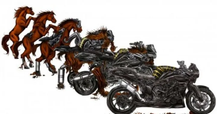 Foto del giorno: la naturale evoluzione del cavallo