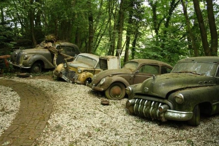Auto Sculpture Park: quando la natura vince sulla tecnica