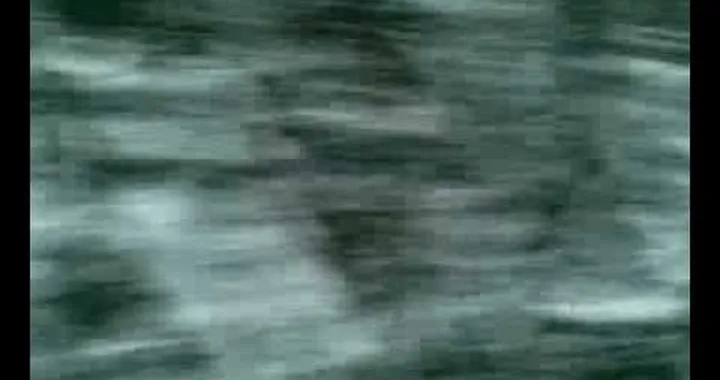 Yamaha YZF-R1 2012 a Valencia