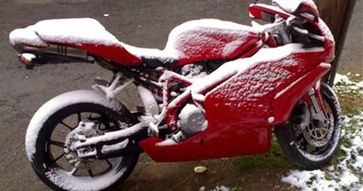 Foto del giorno: la rossa sotto la neve
