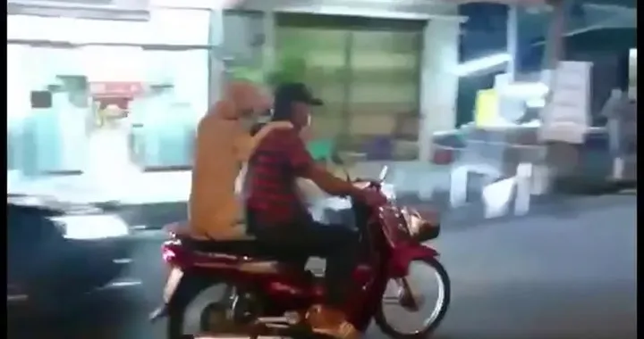 cane in sella allo scooter come un uomo