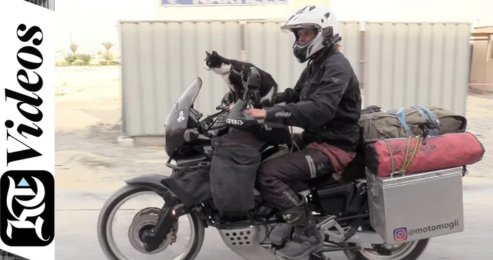 From Germany to Dubai, a man and his cat embark on a motorbike adventure