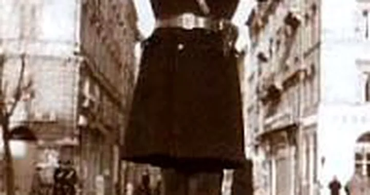 Il giudice: la 168/2005 è incostituzionale