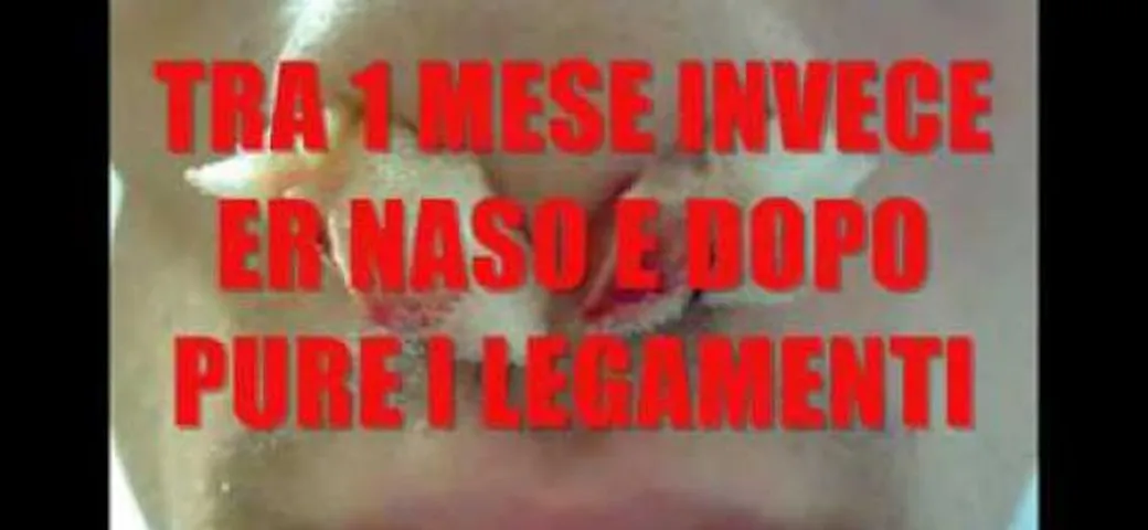 La serenata semiseria di tutti i motocilisti urbani di Andrea Moraldi