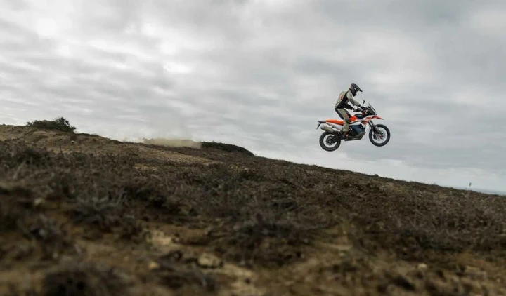 ingrandisci immagine