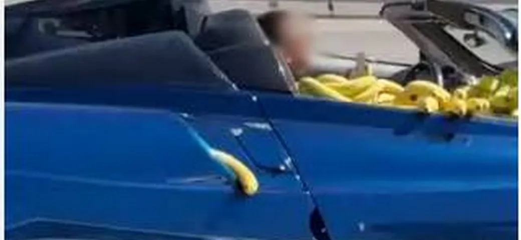Una Pagani Huayra Tempesta usata per il trasporto banane | Video