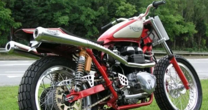 Thruxton Flat Track Special by Blondeel