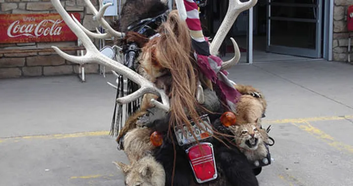 Foto del giorno: la Attila Motorbike