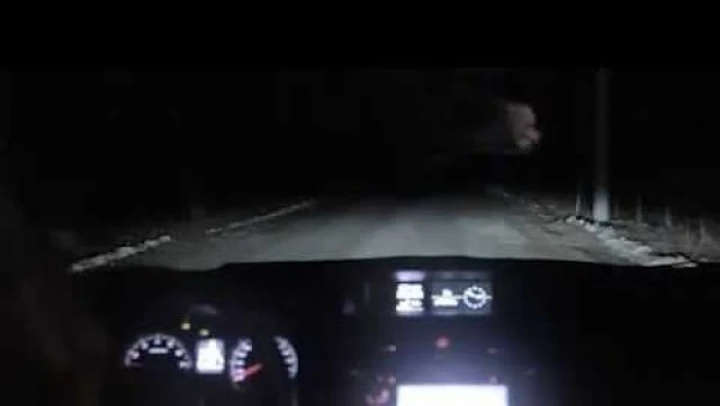 Festa del cane 2014: Subaru e lo spot con la dash cam