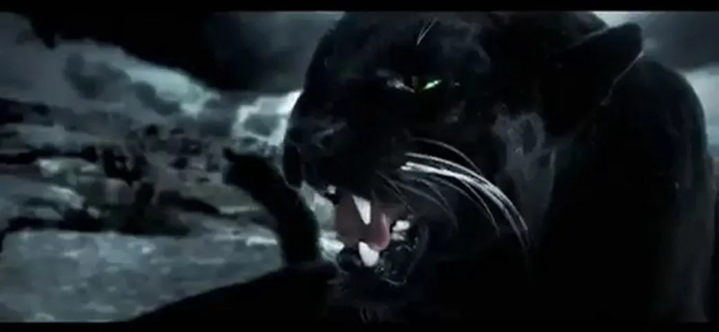 Kawasaki  Call of the wild
