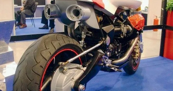 Angel Lussiana e le sue creature